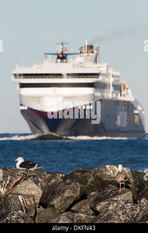 Una linea di colore classe Superspeed ro/pax-traghetto arriva a Pomezia, Italia. Foto Stock