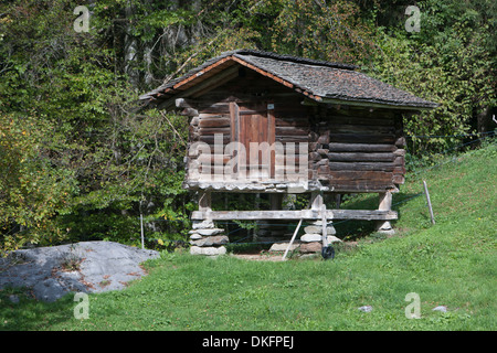 Museo all aperto Ballenberg, Oberland bernese, Canton Berna, Svizzera Foto Stock