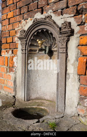 Cimitero ebraico di Łódź, Polonia Foto Stock