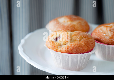 Ciliegia muffin, Ottobrunn, Baviera, Germania, Europa Foto Stock