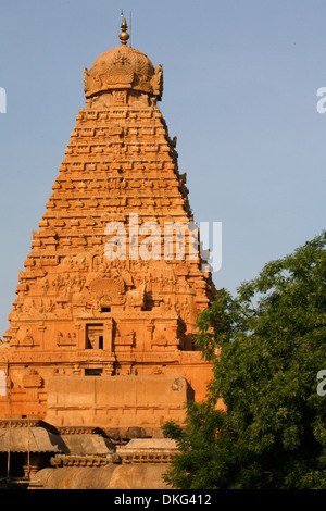 Tempio Brihadishvara (il Grande Tempio), Thanjavur (Tanjore), il Sito Patrimonio Mondiale dell'UNESCO, Tamil Nadu, India, Asia Foto Stock