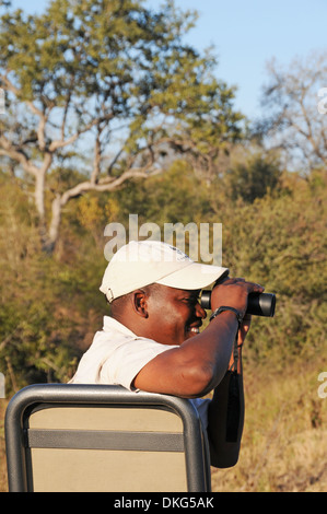 Game Drive, Sabi Sand Game Reserve, Sud Africa Foto Stock