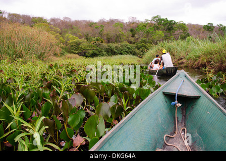 Chapada Diamantina, Lencois, Bahia, Brasile: i turisti con i loro locali le guide di viaggio su un viaggio in barca attraverso il Mini-Pantanal ... Foto Stock