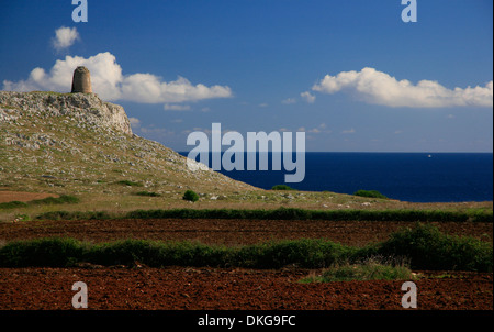 Puglia litorale con torre di avvistamento. Foto Stock