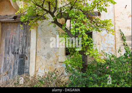 Edificio rovinato dopo il mese di agosto 1953 Terremoto in Assos, Cefalonia, Grecia Foto Stock