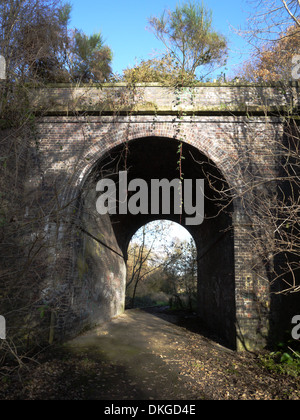 Railway arch, parte di Wheelock rail trail e ciclo nazionale rete in Sandbach CHESHIRE REGNO UNITO Foto Stock