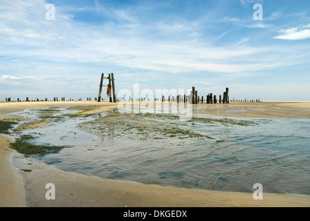 Il Wadden Sea, Wangerroge, Bassa Sassonia, Germania, Europa Foto Stock