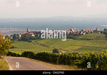 Elk213-2164 Francia, Alsazia, Riquewihr, città a distanza Foto Stock