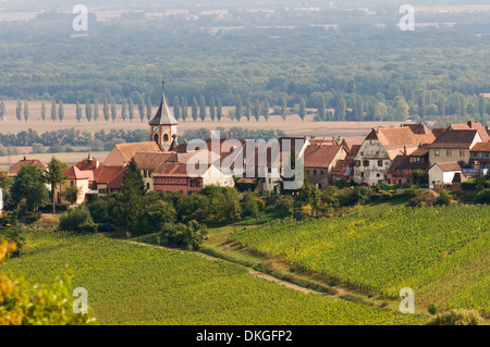 Elk213-2168 Francia, Alsazia, Riquewihr, città a distanza Foto Stock