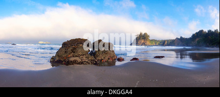 Trinidad State Beach, Humboldt County, California, Stati Uniti d'America Foto Stock