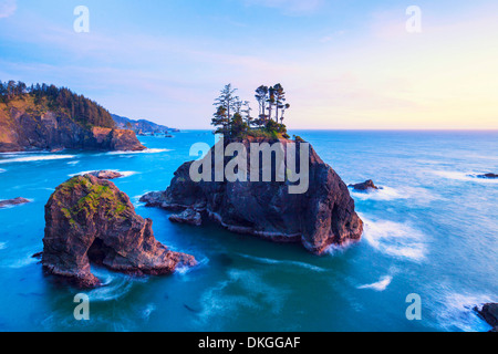 Cliff coast a Samuel H Boardman parco statale, Oregon, Stati Uniti d'America Foto Stock