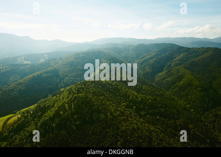 Versante boscoso nella Foresta Nera con Blauen in background, Muenstertal, Baden-Wuerttemberg, Germania Foto Stock