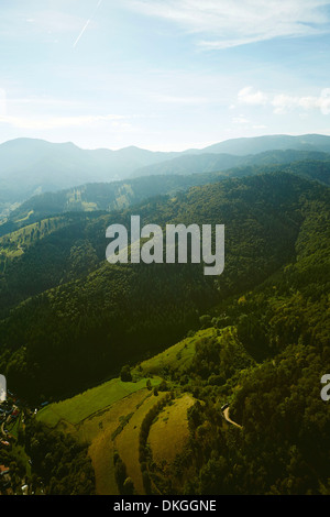 Versante boscoso nella Foresta Nera con Blauen in background, Muenstertal, Baden-Wuerttemberg, Germania Foto Stock