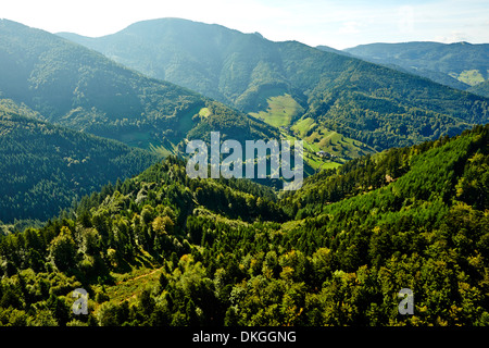 Versante boscoso nella Foresta Nera con Belchen in background, Muenstertal, Baden-Wuerttemberg, Germania Foto Stock