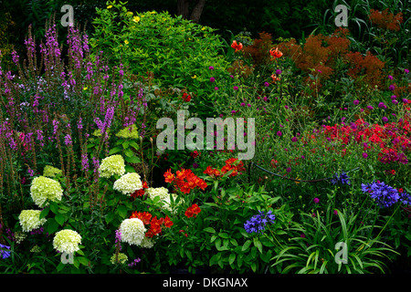 Dillon Giardino Dublino Irlanda perenne contrasto di confine il colore dei fiori piante da giardino combinazione Foto Stock