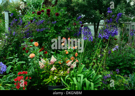 Dillon Giardino Dublino Irlanda perenne contrasto di confine il colore dei fiori piante da giardino combinazione Foto Stock