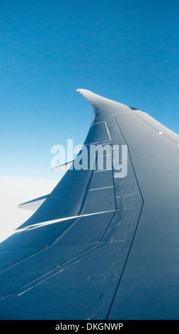 Bella ala aviaria forma apertura alare del Boeing 787 Dreamliner visto da interni cabina ad altitudine di crociera contro il cielo blu chiaro Foto Stock