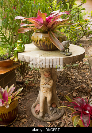 Calcestruzzo decorativo tavolo da giardino con bromeliacee in contenitori di ornati in sub-tropicale giardino Foto Stock