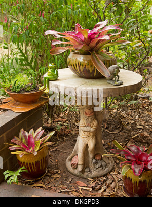 Calcestruzzo decorativo tavolo da giardino con red leafed bromeliacee in contenitori di ornati in sub-tropicale giardino Foto Stock