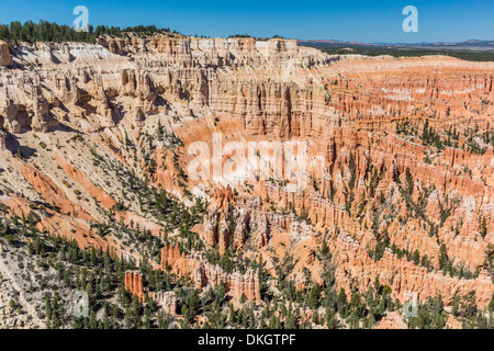 Bryce Canyon anfiteatro dal punto di Bryce, Parco Nazionale di Bryce Canyon, Utah, Stati Uniti d'America, America del Nord Foto Stock