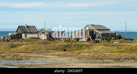 Villaggio di dubbia, Wrangel Island, sito Patrimonio Mondiale dell'UNESCO, Chuckchi Mare, Estremo Oriente Russo, Russia, Europa Foto Stock