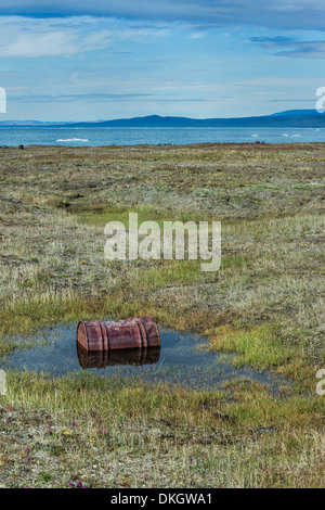 Villaggio di dubbia, Wrangel Island, sito Patrimonio Mondiale dell'UNESCO, Chuckchi Mare, Chukotka, Estremo Oriente Russo, Russia, Eurasia Foto Stock