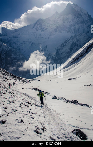 Un escursionista ascende i modi Khola Valle di Annapurna, Annapurna Conservation Area, Nepal, Himalaya Foto Stock