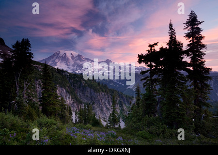 Paesaggio, il Parco Nazionale del Monte Rainier, nello Stato di Washington, Stati Uniti d'America, America del Nord Foto Stock