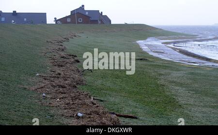 Dagebuell, Germania. 06 Dic, 2013. Flotsam come una sinistra sopra dopo thestorm surge in Dagebuell, Germania, 06 dicembre 2013. Tempesta davanti Xaver ha raggiunto il pieno vigore il 05 dicembre. Foto: CARSTEN REHDER/dpa/Alamy Live News Foto Stock