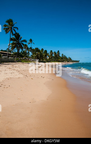 Spiaggia tropicale in Praia do Forte, Bahia, Brasile, Sud America Foto Stock