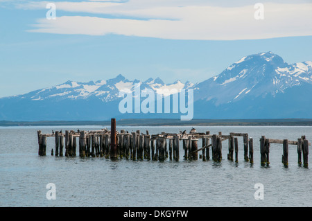 Il marcio pier al tramonto a Puerto Natales, Patagonia, Cile, Sud America Foto Stock