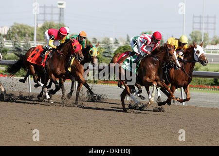 Occhio di Leopard (7) e jockey Eurico Rosa da Silva vincere il centocinquantesimo Queens piastra Domenica a Woodbine Racetrack a Toronto, Ontario in Canada. (Credito Immagine: © Anson appeso/Southcreek globale/ZUMApress.com) Foto Stock