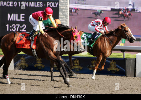 Occhio di Leopard (7) e jockey Eurico Rosa da Silva vincere il centocinquantesimo Queens piastra Domenica a Woodbine Racetrack a Toronto, Ontario in Canada. (Credito Immagine: © Anson appeso/Southcreek globale/ZUMApress.com) Foto Stock