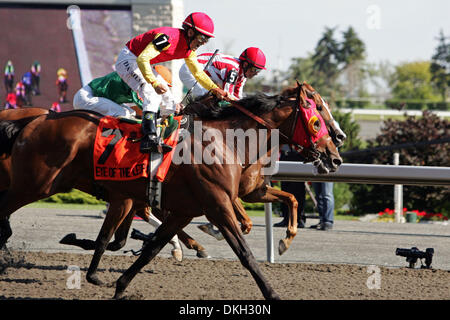 Occhio di Leopard (7) e jockey Eurico Rosa da Silva vincere il centocinquantesimo Queens piastra Domenica a Woodbine Racetrack a Toronto, Ontario in Canada. (Credito Immagine: © Anson appeso/Southcreek globale/ZUMApress.com) Foto Stock