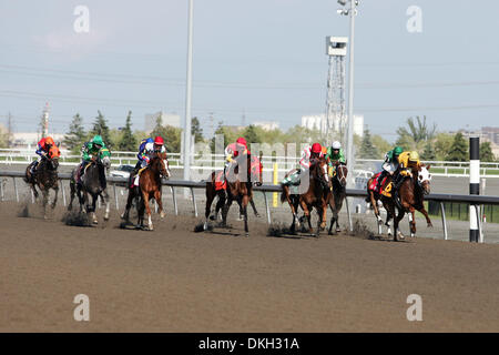 Occhio di Leopard (7) e jockey Eurico Rosa da Silva vincere il centocinquantesimo Queens piastra Domenica a Woodbine Racetrack a Toronto, Ontario in Canada. (Credito Immagine: © Anson appeso/Southcreek globale/ZUMApress.com) Foto Stock