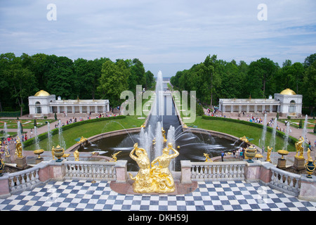 Peterhof e fontane della grande cascata e giardini in estate, Petrodvorets, San Pietroburgo, Russia, Europa Foto Stock