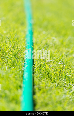 Close up di verde giardino di plastica flessibile che giace sull'erba Foto Stock