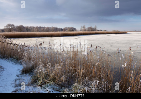 Una fredda giornata invernale in Norfolk Broads mostrante una congelati Horsey semplice, Horsey, Norfolk, Inghilterra, Regno Unito, Europa Foto Stock