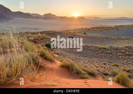 Sunrise dalle dune di NamibRand, Namib Desert, Namibia, Africa Foto Stock