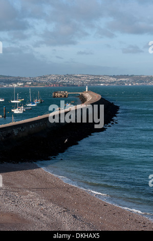 Brixham frangionde,brixham, faro e luce, porto, inglese, frangionde, porto, pesca, devon, oceano, Porto, porto, lente, Foto Stock