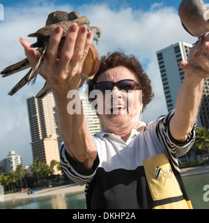 Alimentazione donna piccioni, Waikiki, Diamond Head Kapahulu, Honolulu Oahu, Hawaii, STATI UNITI D'AMERICA Foto Stock