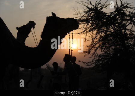 Pushkar, India. Xxi Nov, 2012. Il tradizionale mercato di cammelli nel deserto vicino a Pushkar, India, 21 novembre 2012. Ogni anno nel mese di ottobre e novembre, la Fiera di Pushkar o Pushkar Mela avviene, un Indù festival pellegrino e di tutto il mondo più grande mercato di cammelli in uno. Foto: Jens Kalaene/dpa/Alamy Live News Foto Stock