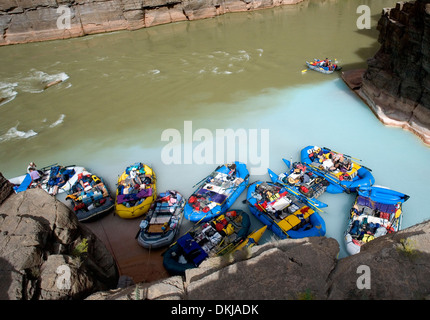 Molti acqua bianco rafters legato fino dove il Havasu fiume incontra il Grand Canyon. Il Havasu è di colore blu chiaro con travertino Foto Stock