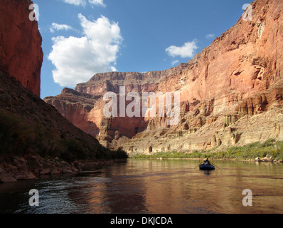 Un paio di travi in Redwall area del Grand Canyon. Foto Stock