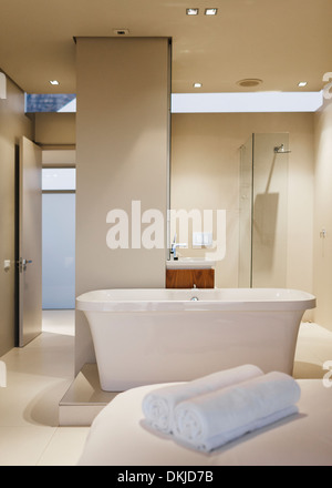 Vasca da bagno, lavandino e doccia in bagno moderno Foto Stock