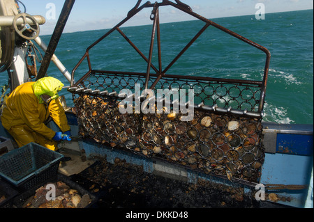 Un pescatore è l'apertura di una dentellatura dragare sulla barca da pesca deck Foto Stock
