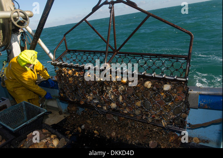 Un pescatore è l'apertura di una dentellatura dragare sulla barca da pesca deck Foto Stock