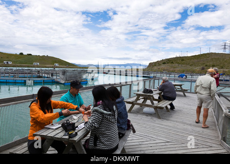 Un allevamento di salmoni sull'Isola del Sud della Nuova Zelanda Foto Stock