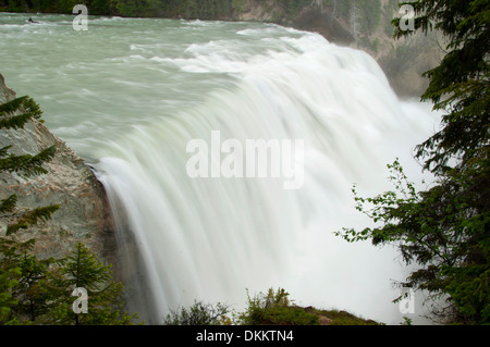 Wapta Falls, Parco Nazionale di Yoho, British Columbia, Canada Foto Stock