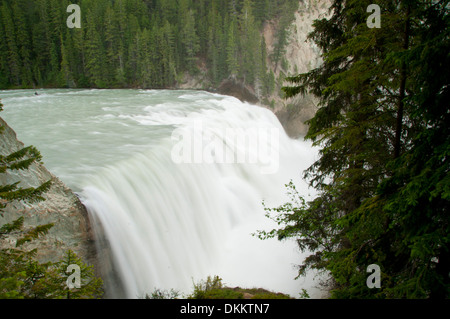 Wapta Falls, Parco Nazionale di Yoho, British Columbia, Canada Foto Stock